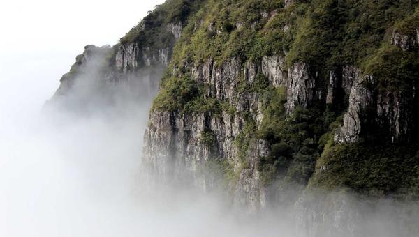 产业分析